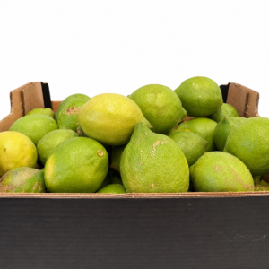 Zitronen Bio Kiste 5 kg (Spanien)
