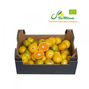 Clementinen Bio Kiste 5 kg (Spanien)