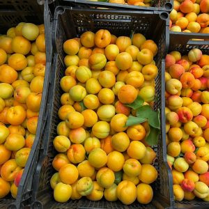 APRIKOSEN BIO 2KG