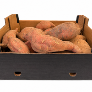 Süßkartoffeln Bio Kiste 5kg (Spanien)
