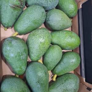 Avocado  bacon bio kiste 4kg