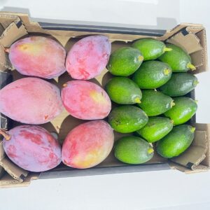 Mango/avocado bio kiste 4kg